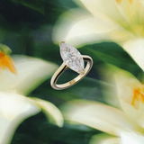 Alliance solitaire marquise - or jaune